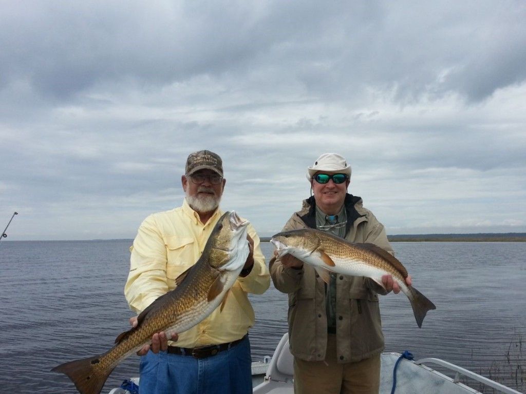 Red Drums in Florida